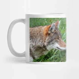 Intensity - Coyote Mug